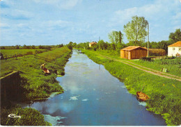 85 - Chaillé Les Marais - Le Canal Des Cinq Abbés - Chaille Les Marais