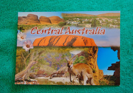 Central Australia - ULURU - Kangaroo - Uluru & The Olgas