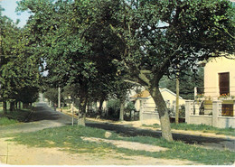 95 - Fosses - Route De Marly - Fosses