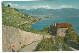 CPA, Suisse- N°16, Le Lavaux , ( Lac Léman ) Le Château  De Glérolles Près Rivas ,Ed. E.R. - Rolle