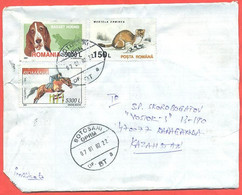 Romania 2002. The Envelope  Passed Through The Mail. - Brieven En Documenten