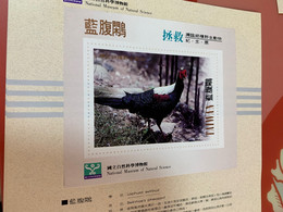 National Museum Of Natural Science Saved Swinhoes Pheasant  Taiwan No Face S/s - Covers & Documents