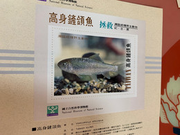 National Museum Of Natural Science Saved Ku-fish Taiwan No Face S/s - Brieven En Documenten