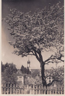 Kirche Rheineck - Formato Piccolo Viaggiata – FE170 - Rheineck