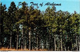 Alabama Official State Tree The Southern Pine - Other & Unclassified