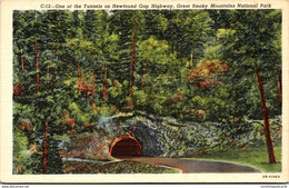 Tennessee Smoky Mountains Onne Of The Tunnels On Newfound Gap Highway Curteich - Smokey Mountains