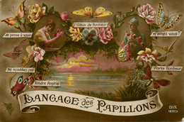 Le Langage Des Papillons * Carte Photo * Papillon Butterfly - Butterflies