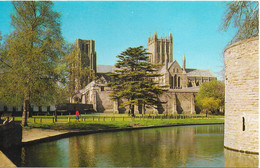 THE CATHEDRAL, WELLS, SOMERSET, ENGLAND. UNUSED POSTCARD   Ls2 - Wells