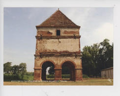 Lisle Sur Tarn : Pigeonnier Du Domaine De Lastours (château) Images Buissonnière Cp Vierge - Lisle Sur Tarn