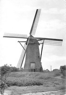 E191 - Arendonk - Molen - Moulin - Mill - Mühle - Arendonk