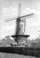 E228 - Ruiselede Molen Van Hoste - Molen - Moulin - Mill - Mühle - Ruiselede