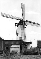 E242 - Ruiselede - Molen - Moulin - Mill - Mühle - Ruiselede