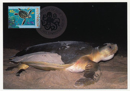 AUSTRALIE - 6 Cartes Maxi. Faune Marine - 3 Octobre 1995 - Townsville - Maximum Cards