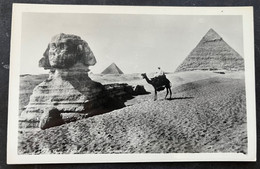 Pyramiden Kamelreiter/ Fotokarte - Piramiden