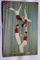 Cpm, Le Cirque National De Pyongyang, Exercices Acrobatiques A Quatre Personnes, Corée Du Nord - Korea (Noord)