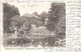 DAMMEREEZ Bei Brahlstorf Nahe Hagenow Boizenburg Lübtheen Gutshaus Autograf Adel 22.5.1909 Gelaufen - Hagenow