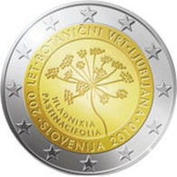 SLOVENIA  2010  2  EURO  ORTI E GIARDINI  FDC - Slovénie