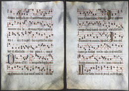 Very Rare Large Elephant Folio Vellum Sheet. Out Of An Antiphonary Manuscript From The 15th Century. / Seltene - Theatre & Scripts