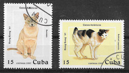 CUBA CHAT CAT CATZE GATO  Y Et T 3601 3602 MICH 3989 3990. - Gebruikt