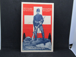 Antigua Postal Conmemorativa - Ocupación Fronteriza 1914 Suiza - 929 - Eriz