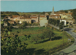 VAOUR  VUE GENERALE   ANNEE 1979 - Vaour