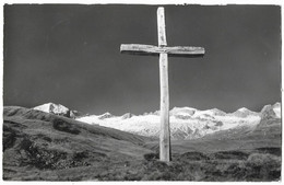 BELALP: Lusgen Alpenkreuz Mit Unterbächhorn, Sparrhorn 1957 - Unterbäch