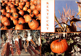 Kentucky Multi View Showing Pumpkins And Corn 1996 - Sonstige & Ohne Zuordnung
