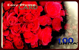 SCHEDA TELEFONICA PROTOTIPO EASY PHONE CARD (VALORE COLORE BLU) DIFETTO STAMPA - Test- Und Dienst-TK