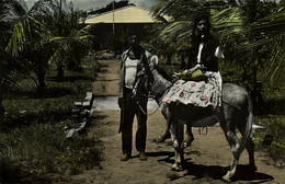 Aruba, N.A., Plantation, Couple With Donkey (1950s) RPPC Postcard - Aruba