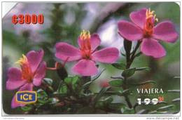 Lote TTE49, Costa Rica,  Tarjeta Telefonica, Phone Card, Flor, 1, 1.000, Flower, Used, Not Perfect Card - Costa Rica