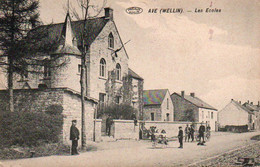 Ave (Wellin)  Les écoles  Charette Cycliste Bien Animée N'a Pas Circulé - Wellin