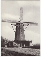 St. Maartensdijk - Molen 'de Hoop' - (Zeeland, Nederland/Holland) - Moulin/Mill/Mühle - Tholen