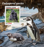 Sierra Leone  2022 Endangered Species. Gorila.  (205b) OFFICIAL ISSUE - Gorilles