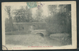 N°  16 - Nesle ( Somme ) - Vue Du Bis Pont   -  BCC 256 - Nesle