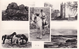 Fancy Dress Town Crier Man On Horse Dartmoor Devon Real Photo Postcard - Dartmoor