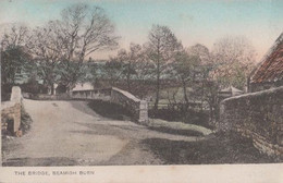 Beamish Burn Bridge County Durham Antique 1906 Postcard - Altri & Non Classificati