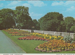 Mowbray Park Sunderland Daffodils Durham Postcard - Altri & Non Classificati