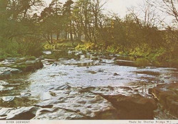 River Derwent Borrowdale Durham Womens Institute Postcard - Altri & Non Classificati