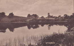 Whitemere Lake Beautiful Reflection Dover Antique Postcard - Altri & Non Classificati