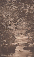 Wetton Mill Bridge Staffordshire Tucks Oilette Staffs Antique Postcard - Autres & Non Classés