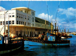 Le Guilvinec * Vue Sur Les Chalutiers à La Criée * Bateaux Pêche - Guilvinec