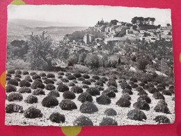 Carte Postale. Vaucluse. 84. Bonnieux. Vue Générale Et Les Champs De Lavande - Bonnieux