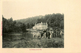 Liverdun * Château De La Flie * Passeur - Liverdun