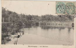 Montmagny - Lac Marchais   (F.3863) - Montmagny
