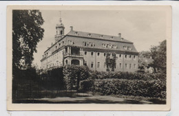 0-9387 NIEDERWIESA - LICHTENWALDE, Schloss, 1955 - Niederwiesa