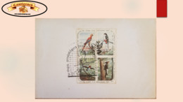 O) 1994 CUBA, BIRDS, ORNITHOLOGICAL EXHIBITION CIENFUEGOS PROVINCE, CHRISTMAS 1961 . FDC XF - Bienfaisance