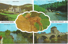 SCENES FROM THE WYE VALLEY, MONMOUTHSHIRE, WALES. Circa 1972  USED POSTCARD   Kg1 - Monmouthshire