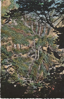 La Réunion - SAINT BENOIT - Cascades De Takama - Saint Benoît