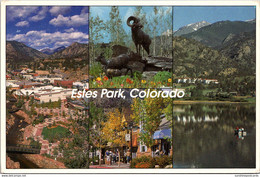 Colorado Estes Park Multi View - Rocky Mountains