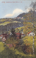 CPA WALD SANATORIUM, VILLAGE PANORAMA - Wald